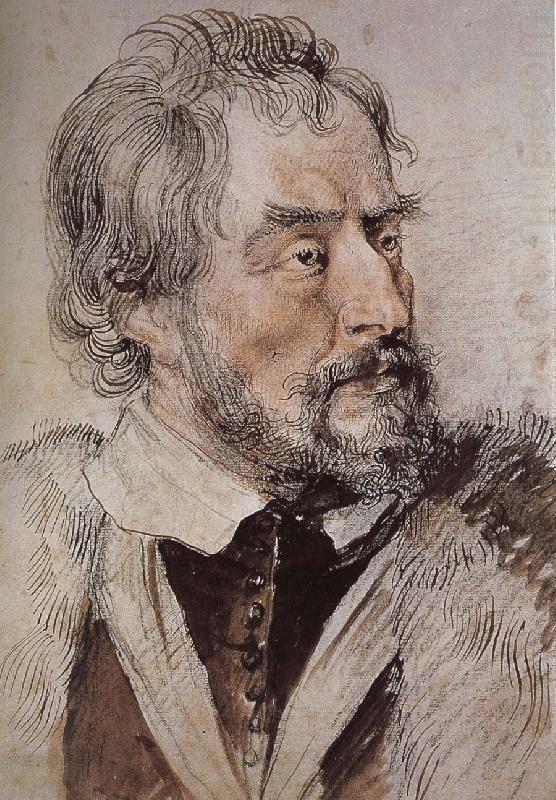 Portrait of thomas, Peter Paul Rubens